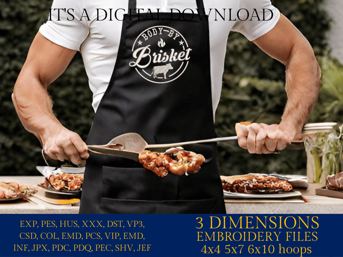 Machine Embroidery files, body by Brisket, BBQ, grill, DST, PES, xxx, hus, & more