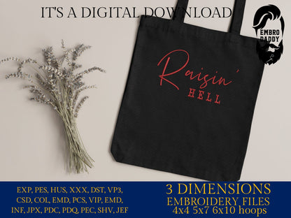 Machine Embroidery files, Raisin' Hell ,Funny and Humorous Southern Phrase, PES, xxx, hus & more