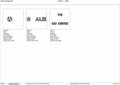 Machine Embroidery files, Goalie has arrived, PES, DST, xxx, hus & more