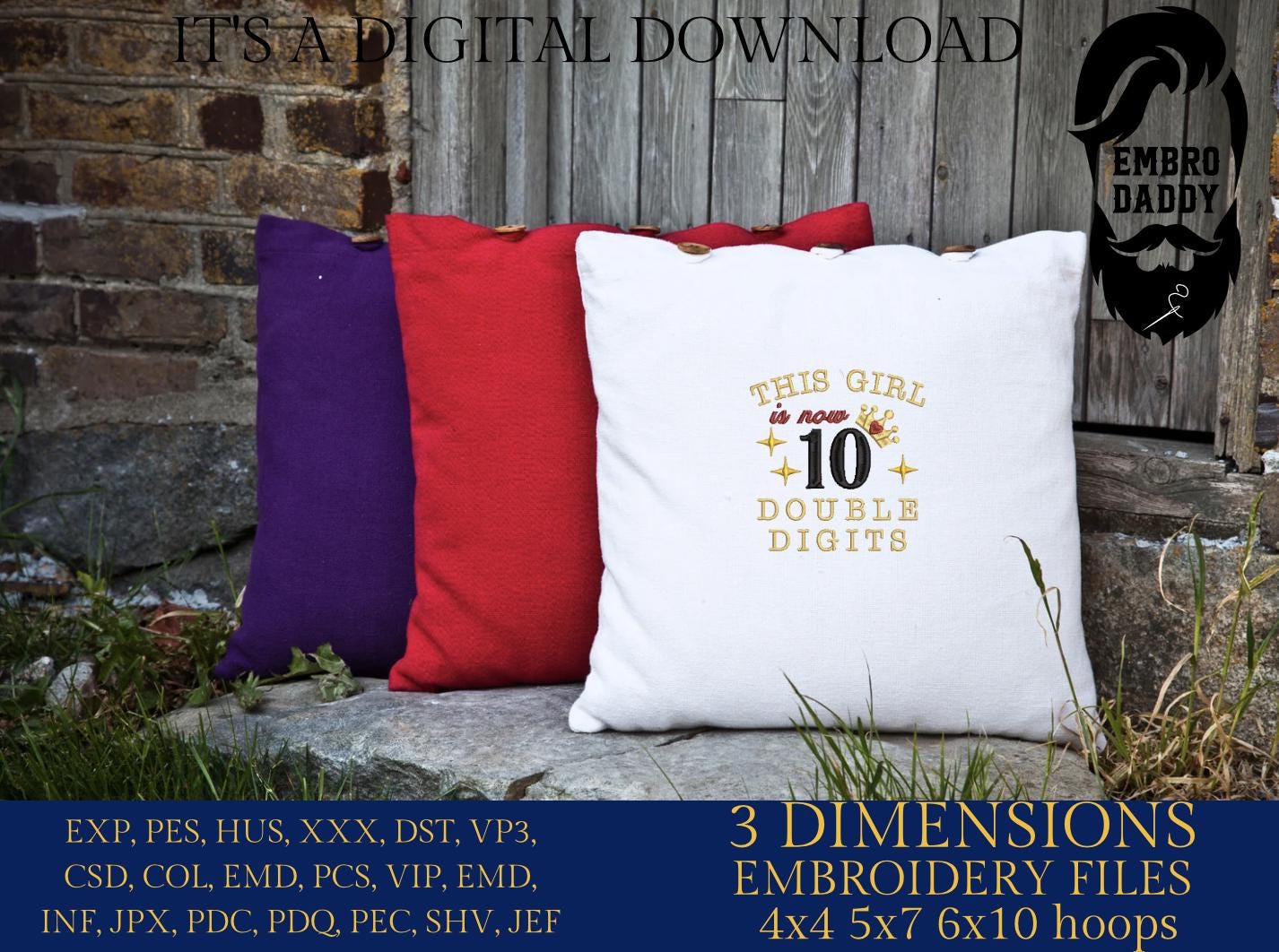Machine Embroidery files, this girl is double digits, PES, dst, vip, xxx, hus & more